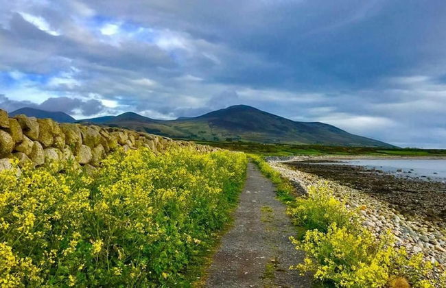 Foot of the Mournes - Cottage - Sleeps 4 - Parking - Foto 19