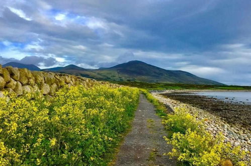 Photo 19 - Lovely 2-bed Cottage at the Foot of the Mournes