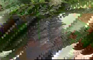 Photo 25 - Villa Cabernet