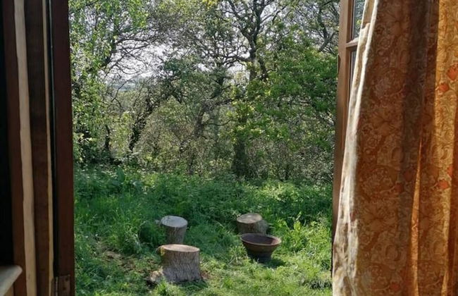 Stunning 1-bed Cabin in Totnes - Foto 15