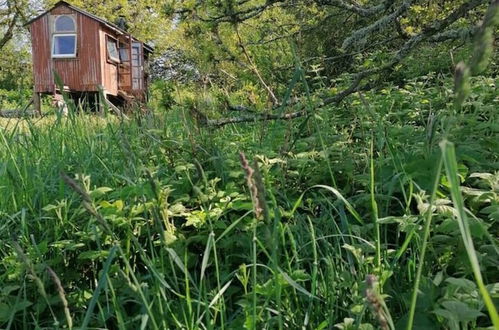 Foto 14 - Stargazer Shepherds Hut. A Warm and Cosy Getaway