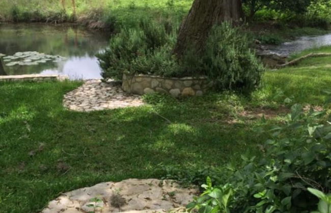 Frio Springs Lodges - Foto 46