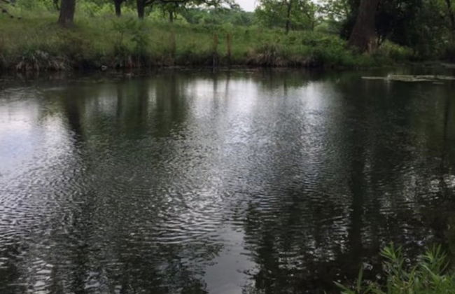 Frio Springs Lodges - Foto 43