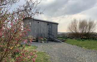 Foto 1 - Bespoke Hand Built Shepherds Hut in Dunbeath