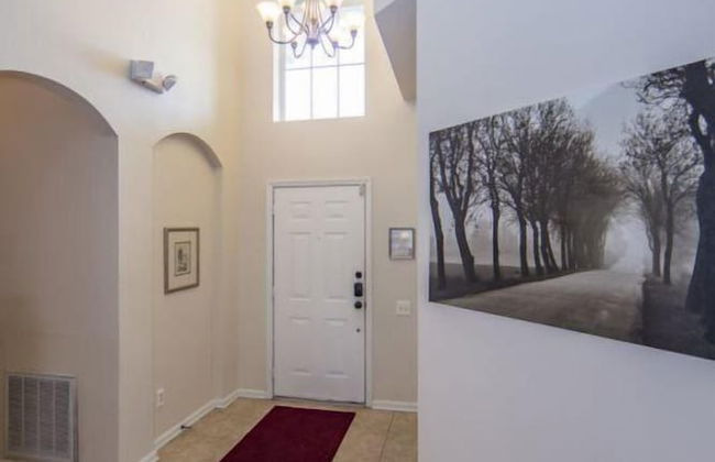 Windsor_palms_8169n - Photo 1