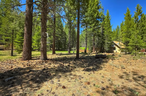 Foto 46 - Stout House Cabin - Your Kids Favorite Backyard