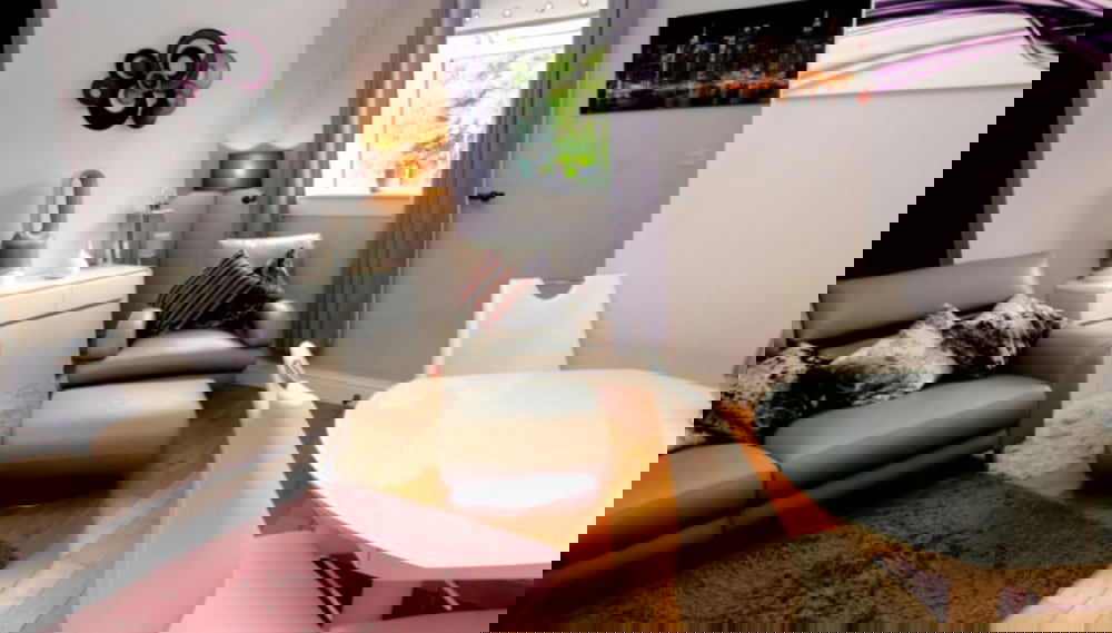 Imagem principal
