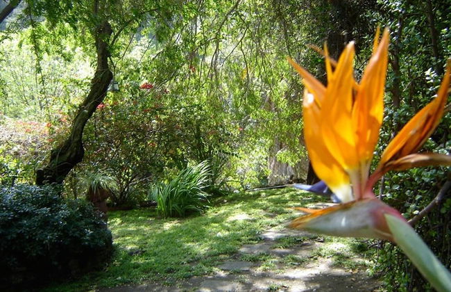 Hollywood Hills Canyon Breezes - Foto 27