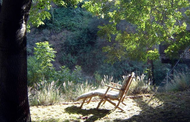 Hollywood Hills Canyon Breezes - Foto 25