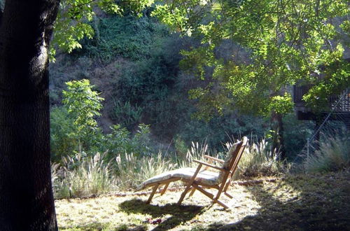 Photo 25 - Hollywood Hills Canyon Breezes