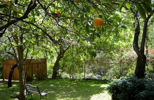 Hollywood Hills Canyon Breezes - Foto 23