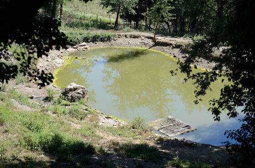 Foto 47 - Agriturismo Le Cerinaie