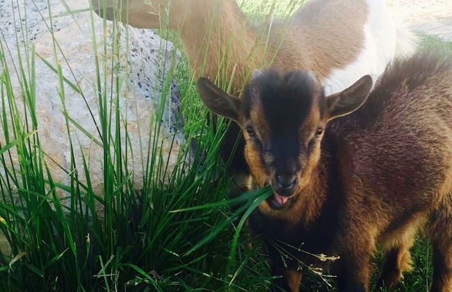 Masseria Pappo - Foto 54