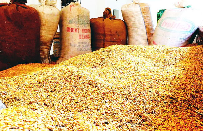 Masseria Pappo - Foto 38