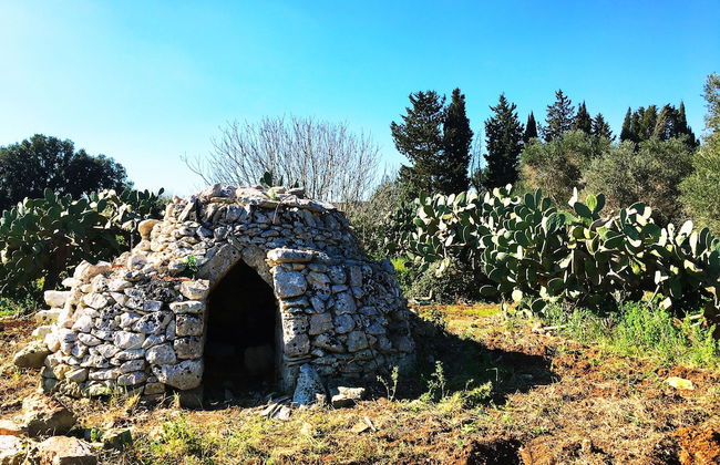 Masseria Pappo - Foto 58