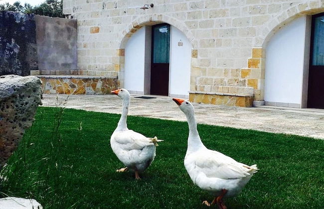 Masseria Pappo - Foto 52