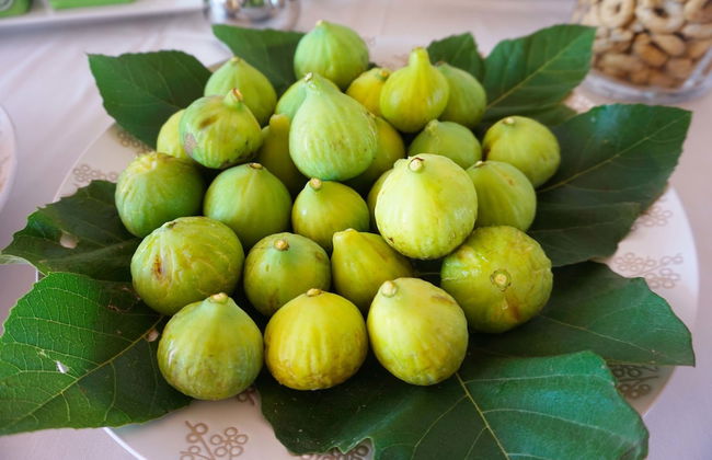 Masseria Pappo - Foto 46