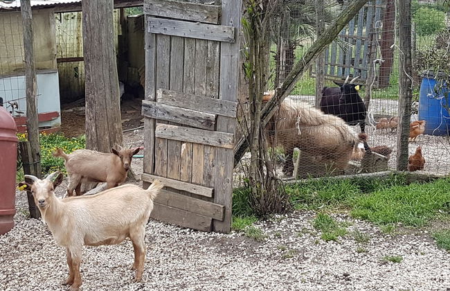Agriturismo Cisogna - Photo 17