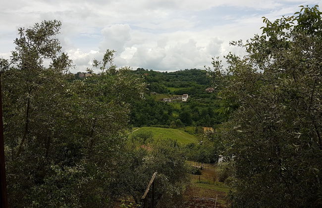 Agriturismo Cisogna - Photo 12