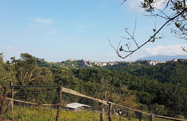 Agriturismo Cisogna - Photo 32