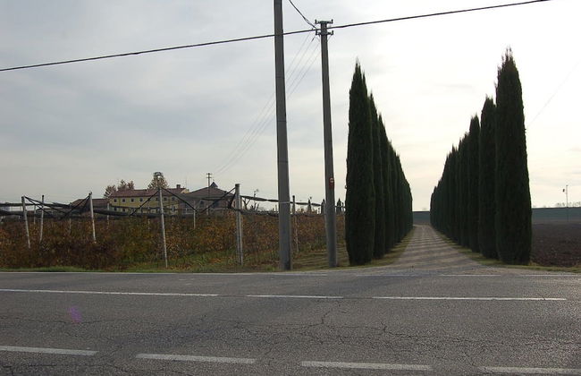 Agriturismo BB Mambrotta - Foto 21
