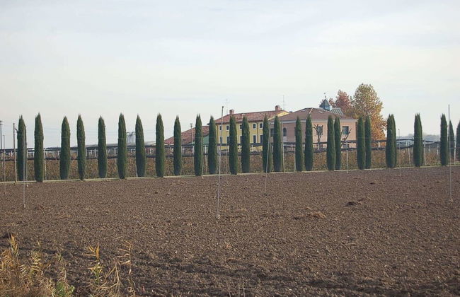 Agriturismo BB Mambrotta - Foto 23