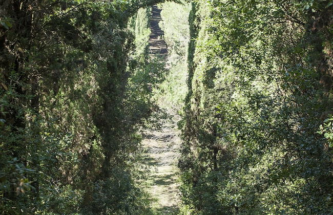 Farm House La Presura - Foto 56