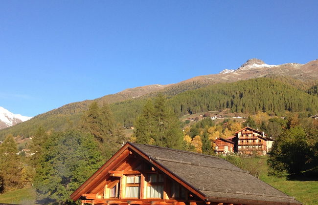 Maso Fior di Bosco - Val di Rabbi - Esercizio Rurale - Foto 70