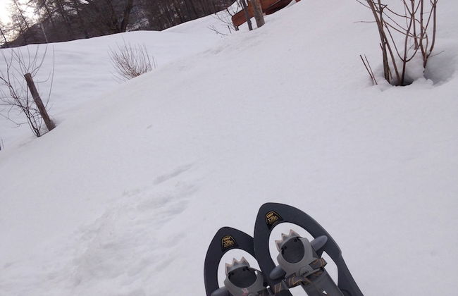 Maso Fior di Bosco - Val di Rabbi - Esercizio Rurale - Foto 24