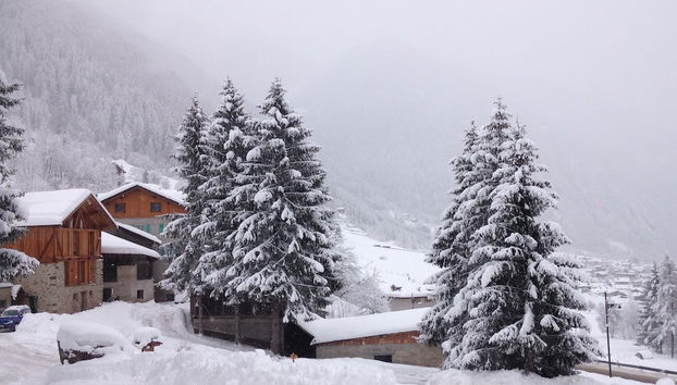 Maso Fior di Bosco - Val di Rabbi - Esercizio Rurale - Foto 2, Profilbild
