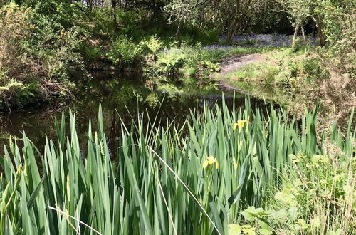 Photo 45 - Trecombe Lakes