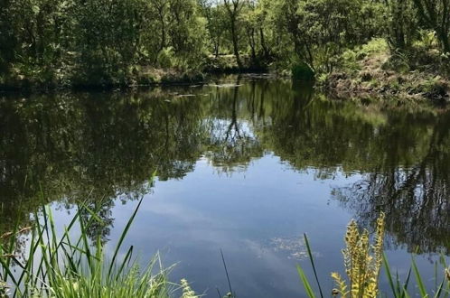 Photo 47 - Trecombe Lakes