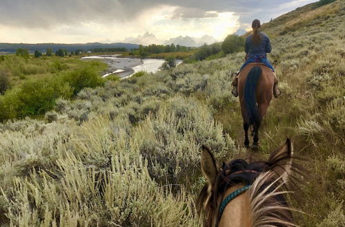 Photo 29 - Buffalo Valley Ranch