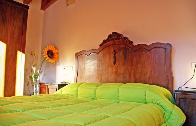 Hort de Mao El Rebost - Foto 5