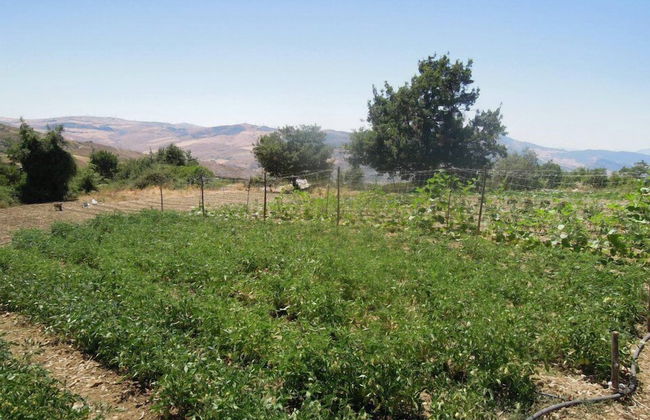 Agriturismo Cuca - Foto 10