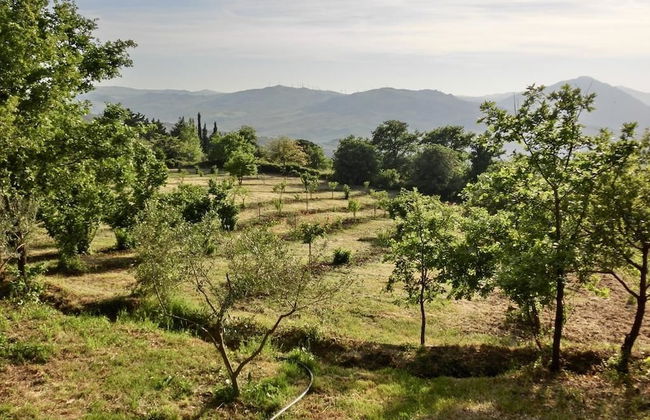 Agriturismo Cuca - Foto 13