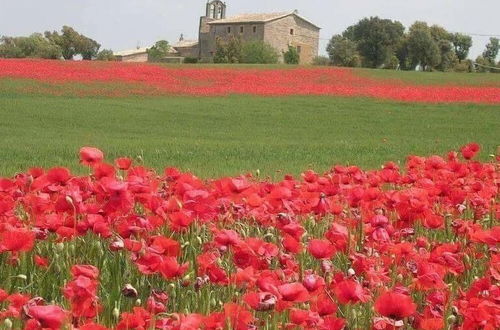 Photo 29 - La Caseta de Sant Grau