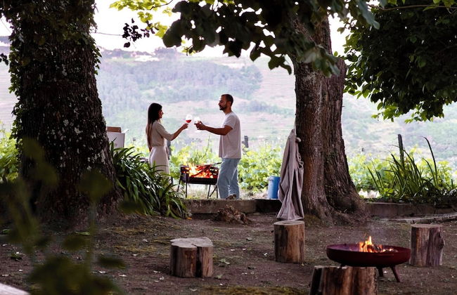 Quinta da Cumieira - Foto 29