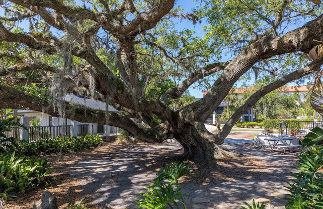 Legacy Vacation Resorts Palm Coast - Foto 44