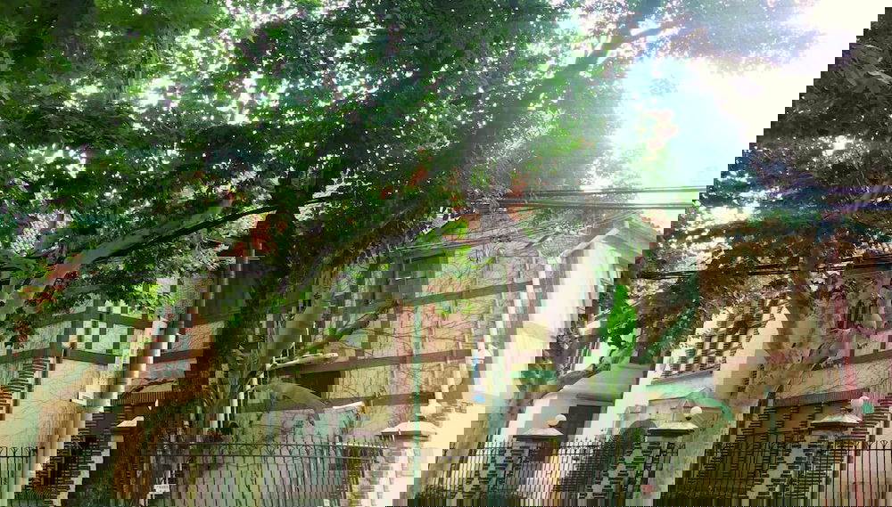 Imagem principal