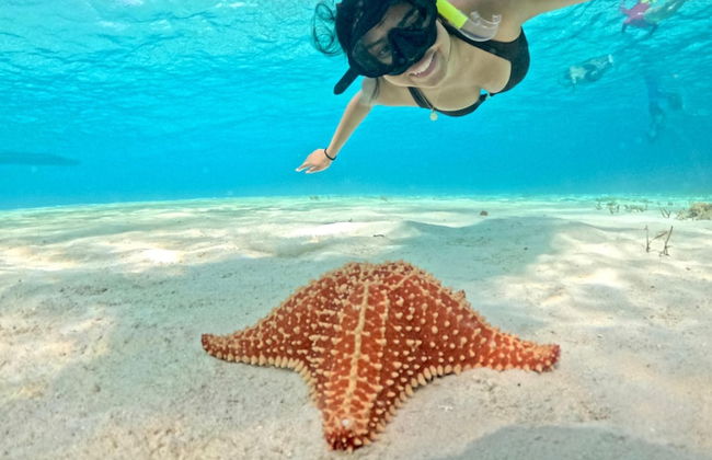 Casa Mora Alberca Privada de Playa - Foto 15