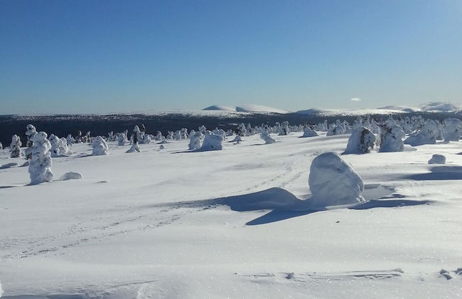 Seita Cabins - Foto 12