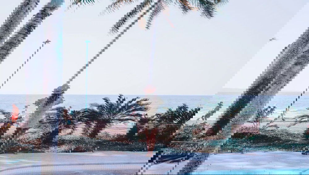 Image principale