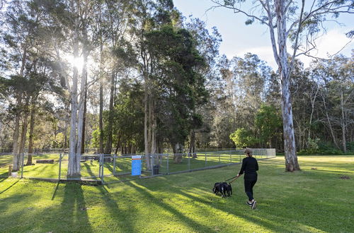 Photo 78 - Discovery Parks - Forster