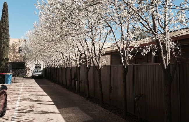 Central Shepparton Apartments - Foto 20