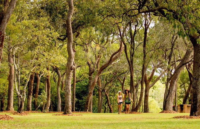 Discovery Parks - Tannum Sands - Foto 56