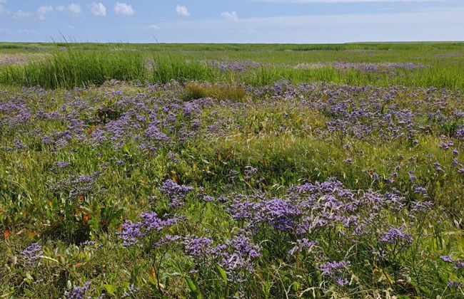 Charming Retreat on Mando - By Traum Ferienwohnungen - Foto 7