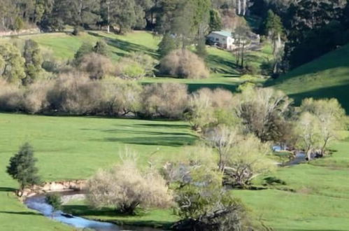 Photo 49 - Toorongo River Sanctuary