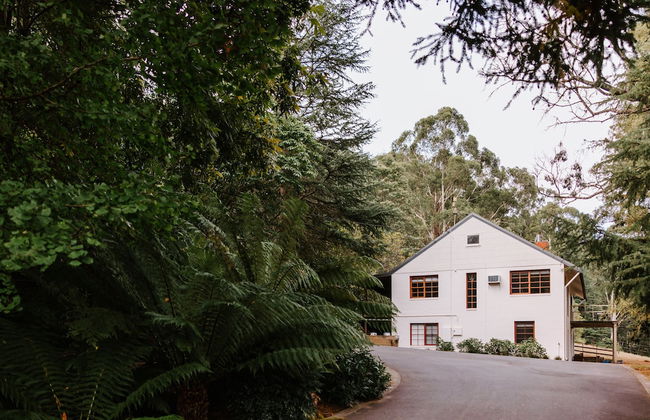 Toorongo River Sanctuary - Foto 18