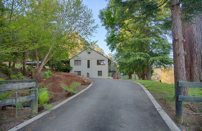 Toorongo River Sanctuary - Foto 34